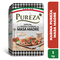 PUREZA HARINA PIZZA MASA MADRE X10