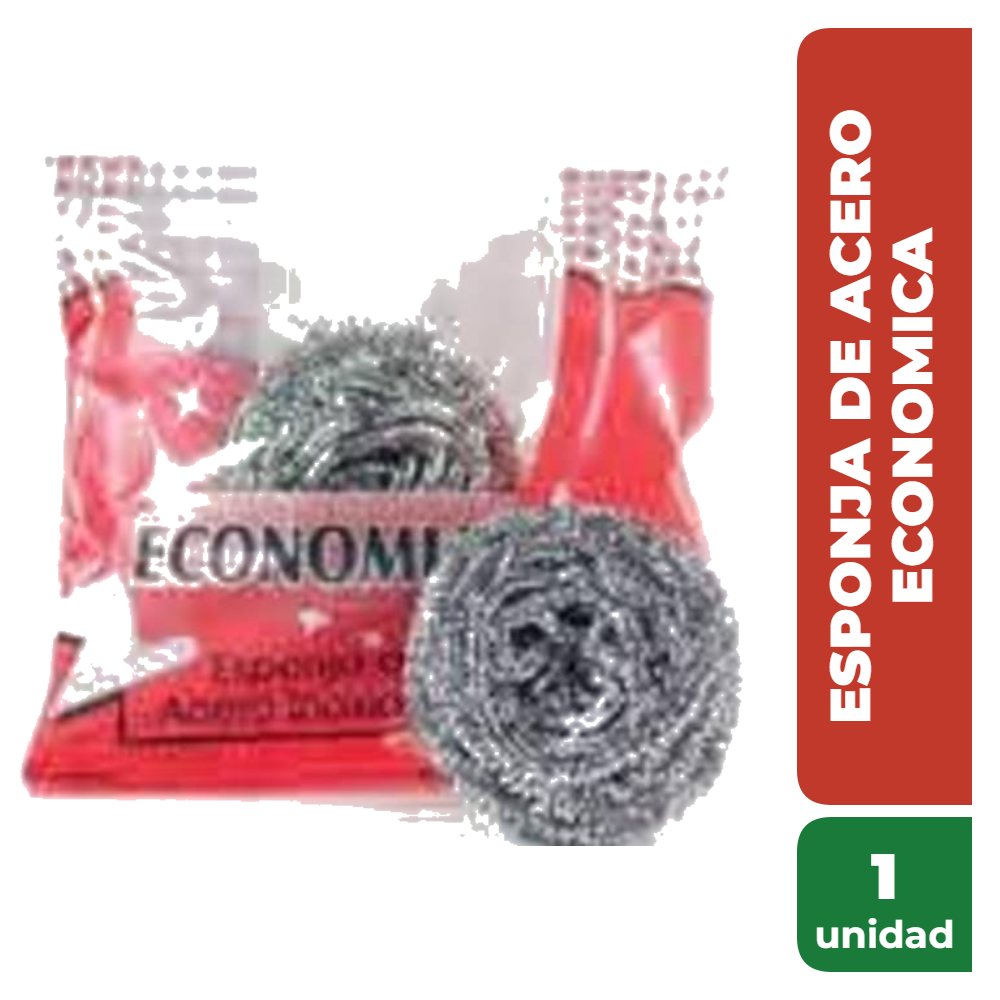ECONOMICA ESPONJA DE ACERO